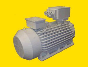 南陽TBFW系列防爆發(fā)電機(jī)