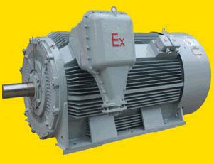 南陽YB2系列高壓隔爆型（ExdIIC）三相異步電動(dòng)機(jī)
