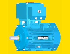 南陽(yáng)YB2E80～355隔爆型三相異步電動(dòng)機(jī)